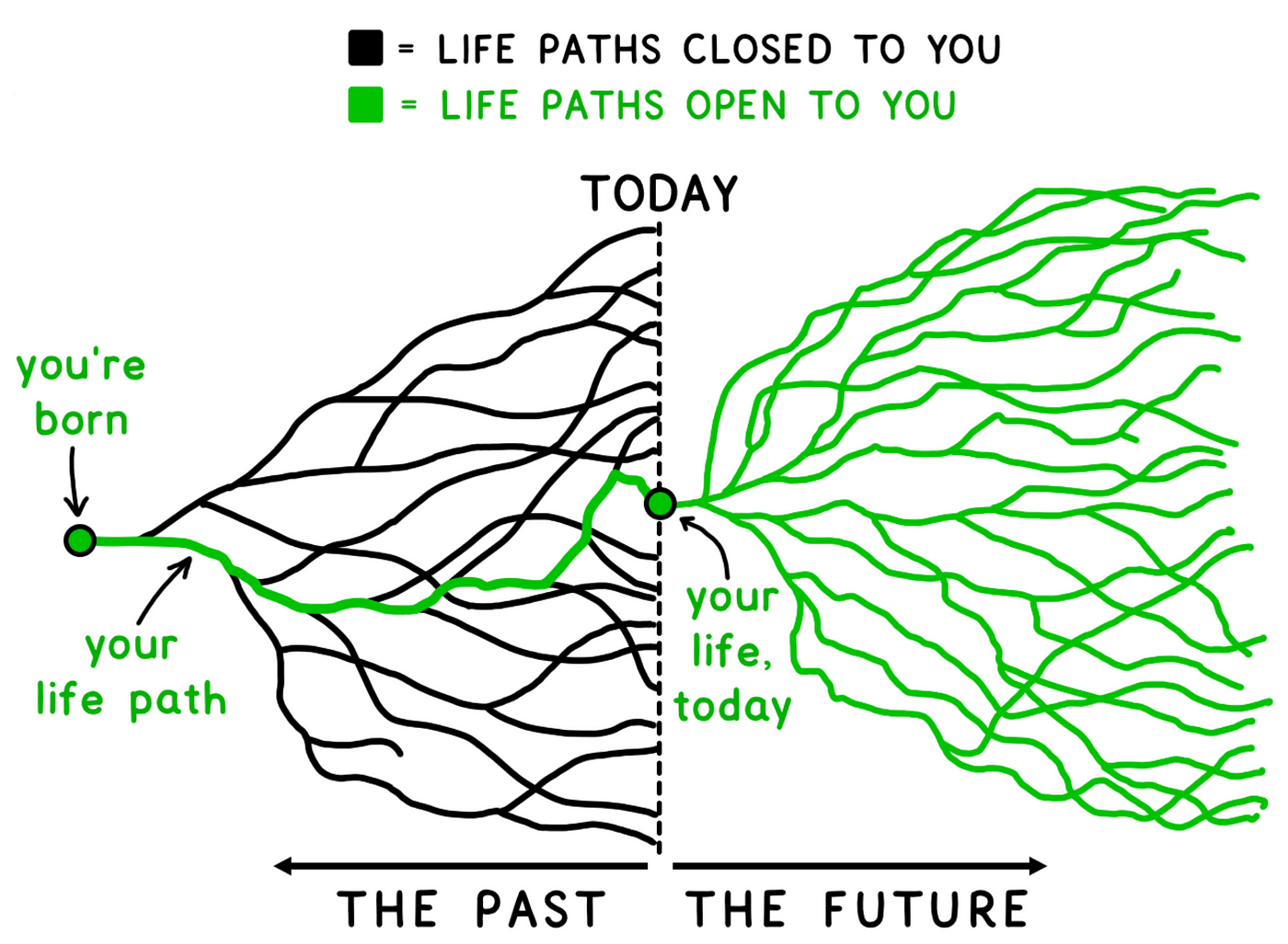Life Paths from Wait But Why